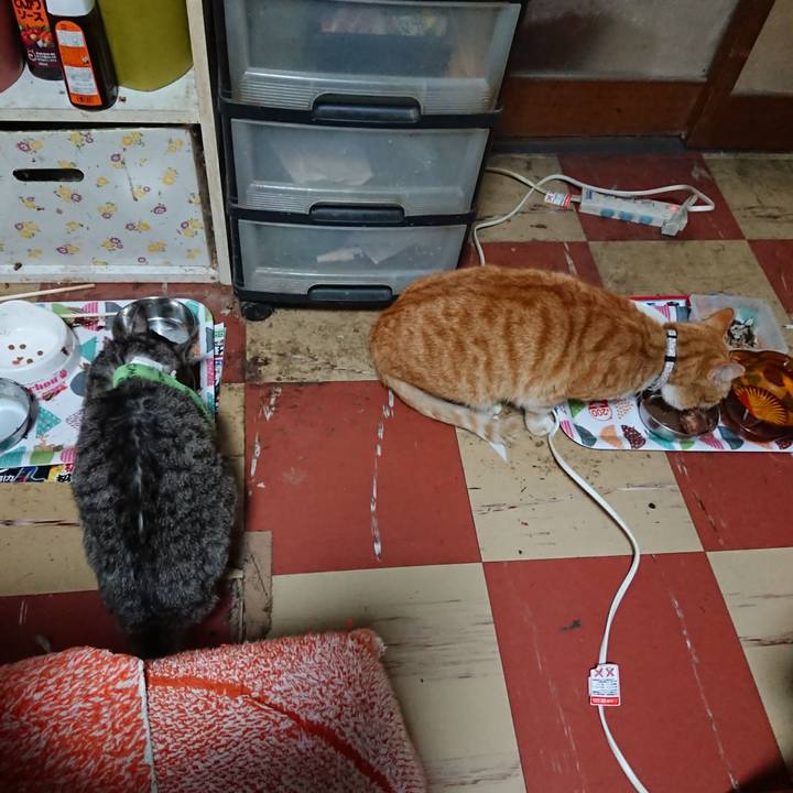 Dc72e538 41b2 4bdf a1dd 90c024c9342e 1587617471261