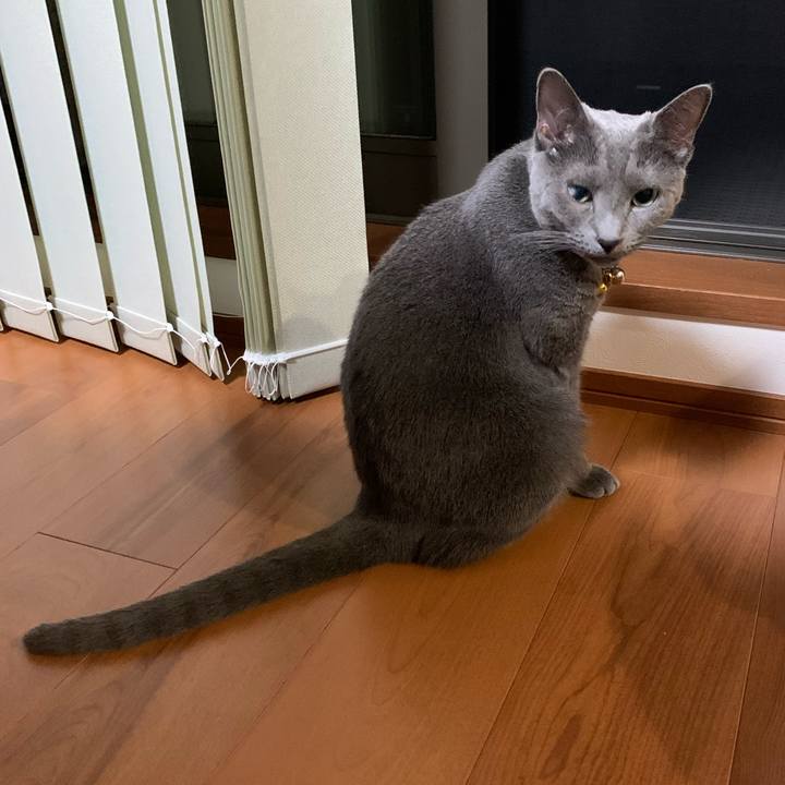 Dc73371b ec88 4968 963c b4e41d13968d 1631361133577