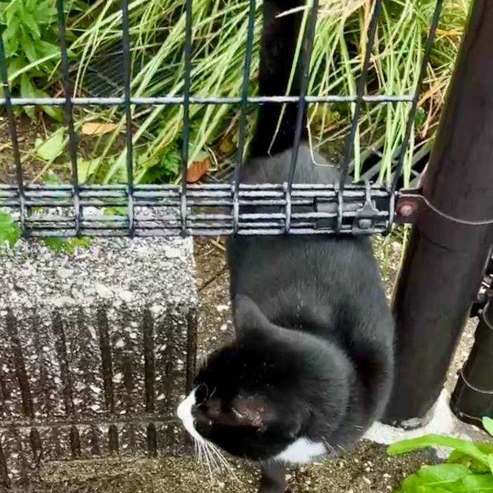 Dc73ec4b 3124 42e1 b44f 956a4b0e43a9 1732763301141