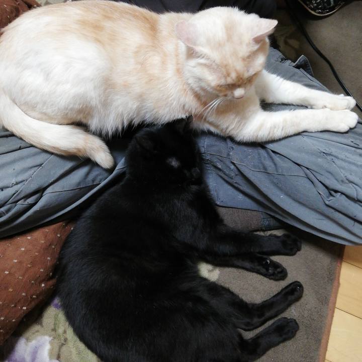 Dc73f53b d407 47b8 940f c8a8fac2ba89 1709674466882