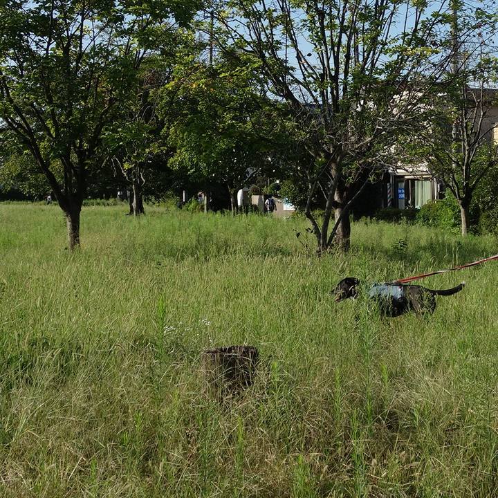 Dc740fe5 81eb 48ed a648 bbe44186f30e 1726618465973