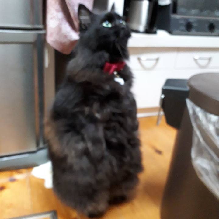 Dc7419a0 c458 4ea6 b00d 68d951f67e86 1518163321917