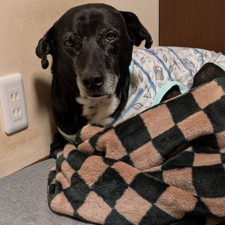 Dc7458da b047 4e1b a8db 0a0d2bac7808 1738454228650