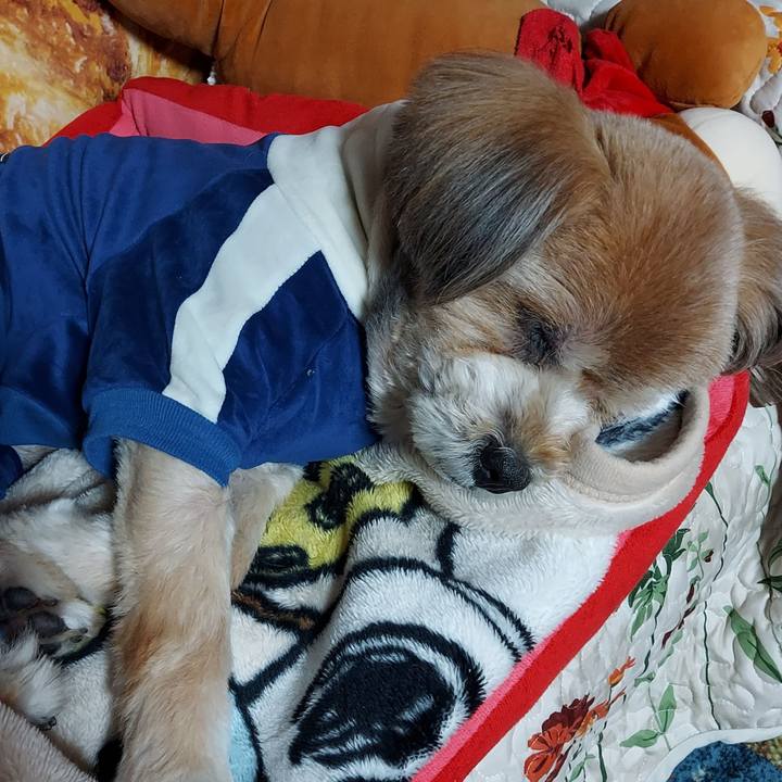 Dc7472b6 e324 400e 8b90 656ec7ba8ace 1647265233265