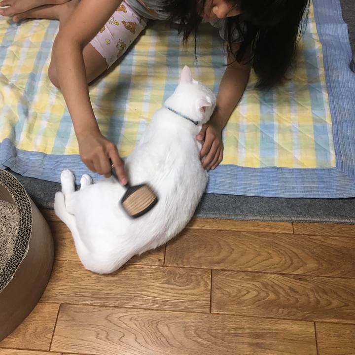 Dc7494f7 71e6 4d84 b288 3e3106b999b4 1528548474233