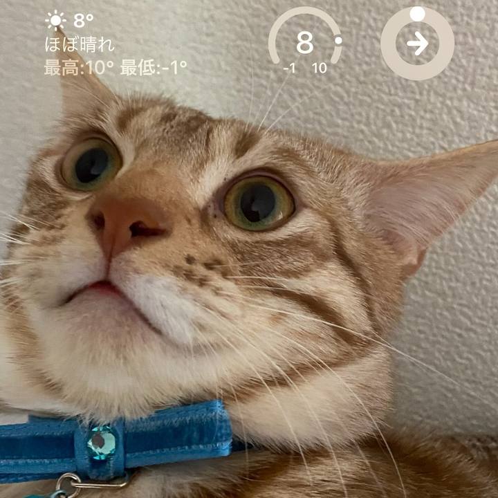 Dc74b078 02c3 4fb8 8274 c9f99131dabe 1675648643290