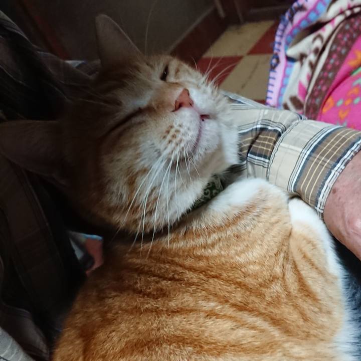 Dc74e12c 32ec 491a 81d4 df3017b76470 1584525485484