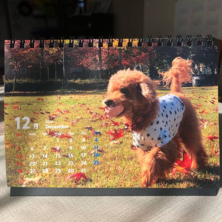 Dc74e227 fec7 45a6 acb6 c5ce53bfc76a 1640742655474