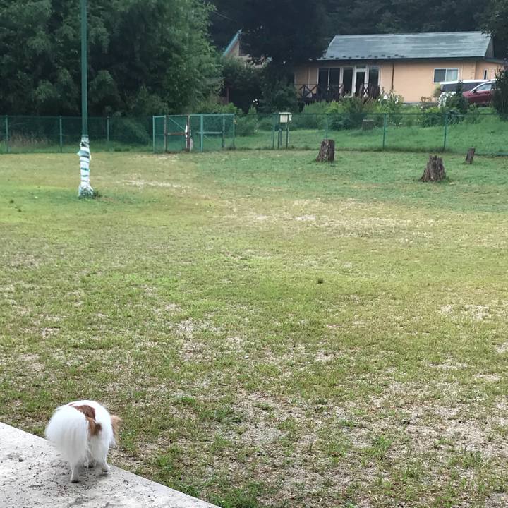 Dc753162 4006 49d5 b0b0 bb65f8e5ee20 1566303111864