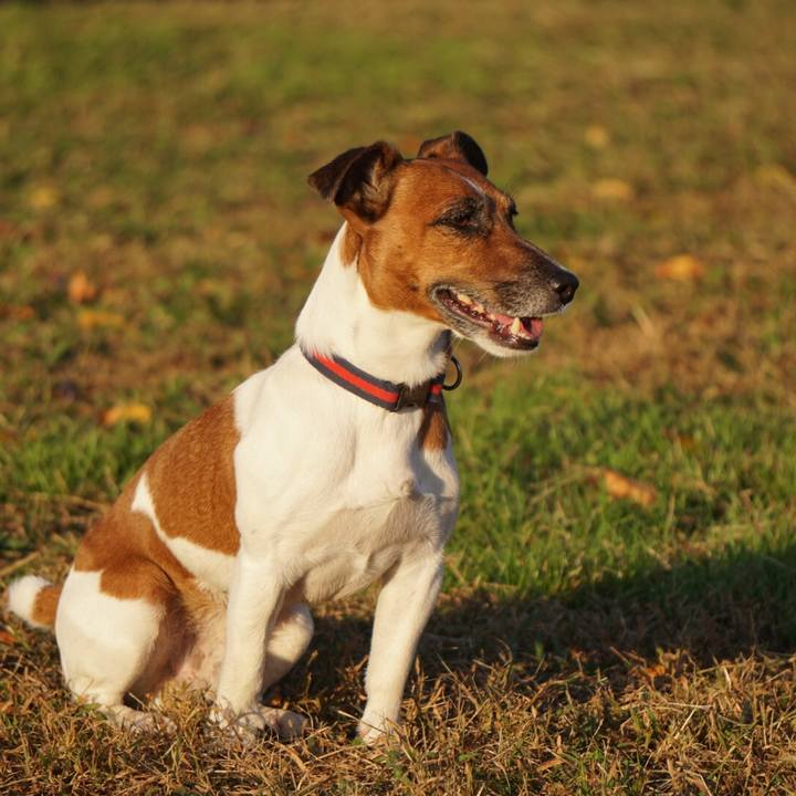 Dc753b1d 615a 4462 8ab2 96e582723060 1541201961301