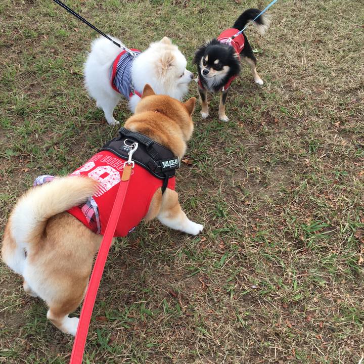 Dc755c3c 0d09 417c 8a6d 9130494c45d6 1606611406238