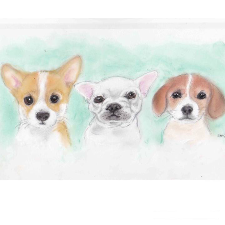 Dc756887 b296 4649 bc9c 185463d5b93b 1590256227517