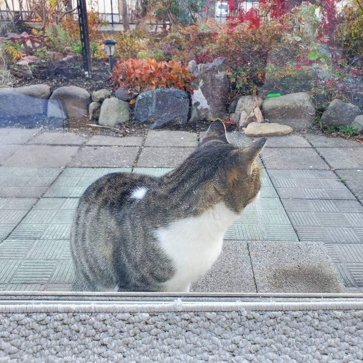 Dc75a5f6 ed60 4cad b23f 4cdc5e60e7f8 1699895674603