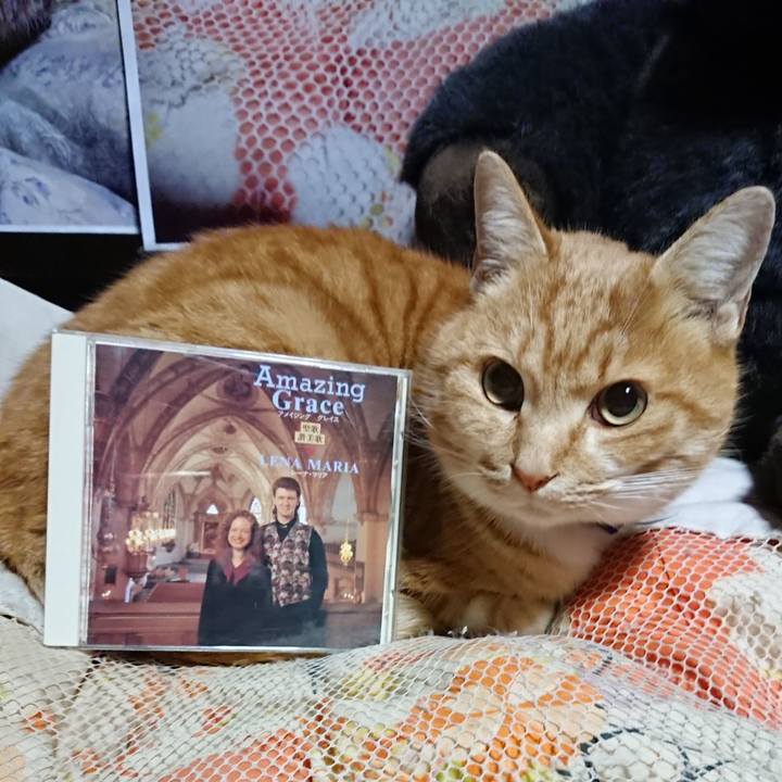 Dc75bc19 12c1 4078 8d9e 5d345598b833 1608547080741