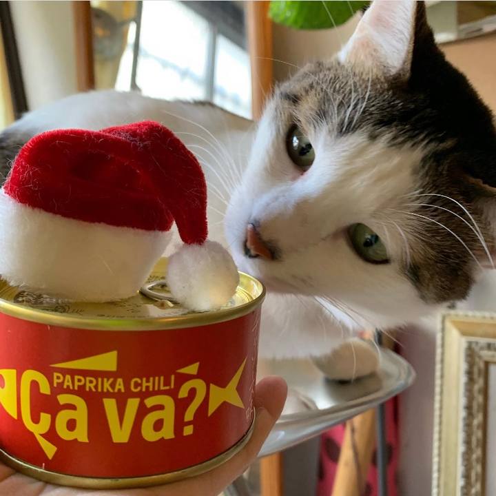 Dc75c299 9c35 46be a37c 8d06ff2a3de8 1576516602525