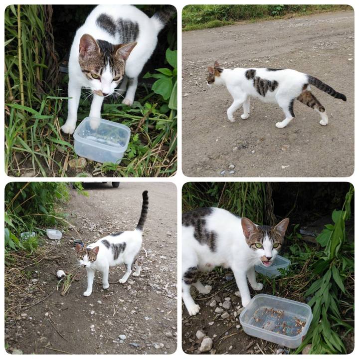 Dc75d4b3 386d 4513 ad4d bd184858be41 1595339118662