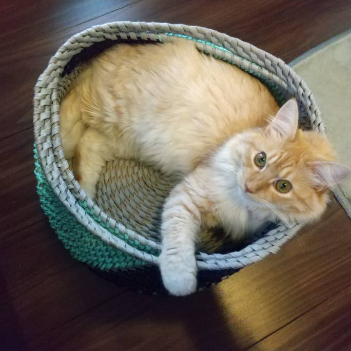 Dc75f6da 0b21 4631 be5b 6d031b5822ec 1626767373735