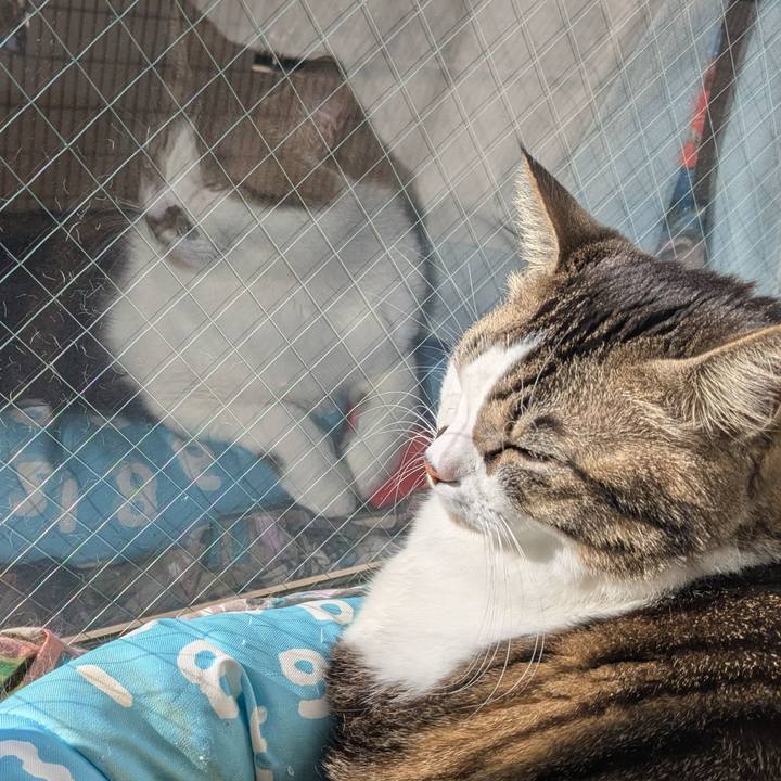 Dc761678 532e 4080 9f10 21392e236d21 1736746368633