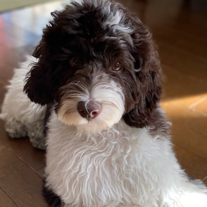 Dc7638ae 259b 4e81 a0ff eff1f177d2ba 1614398978836