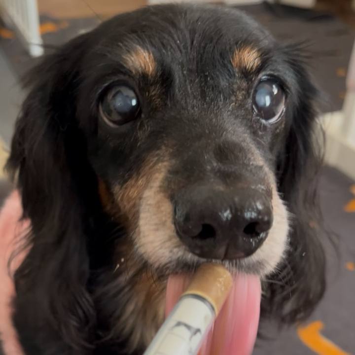 Dc763aaa e25a 448e 9e0d 28944758c116 1764427902534