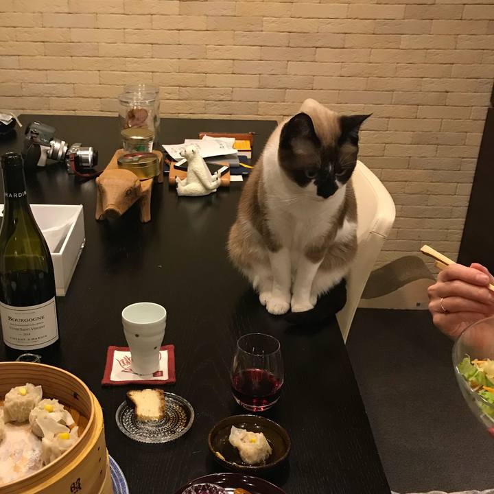 Dc7661ad 1173 4023 9034 3ed5c101a4bc 1522841902383