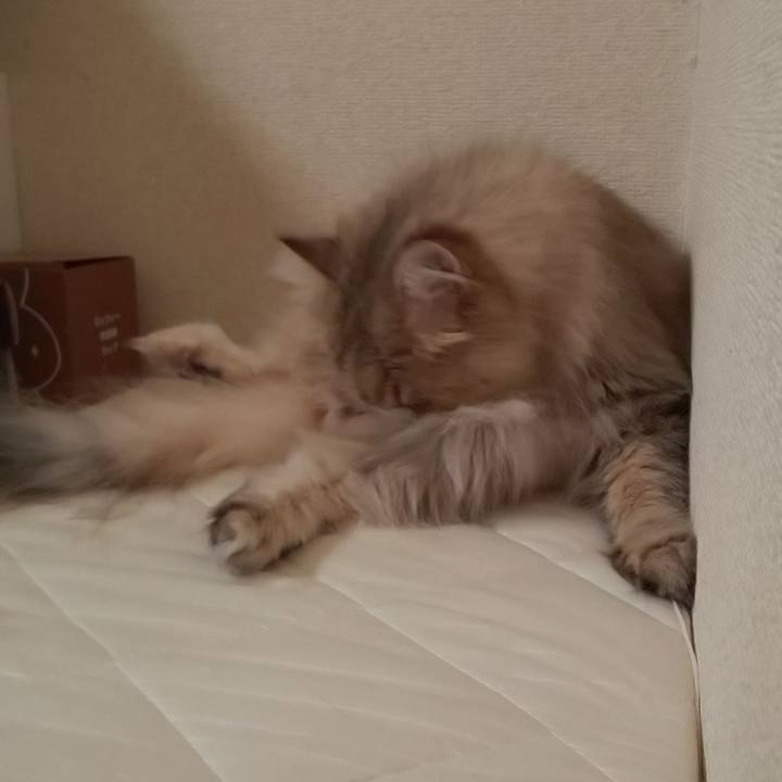 Dc7672f3 32bb 4d97 b575 b9fef690ffbf 1632791774512