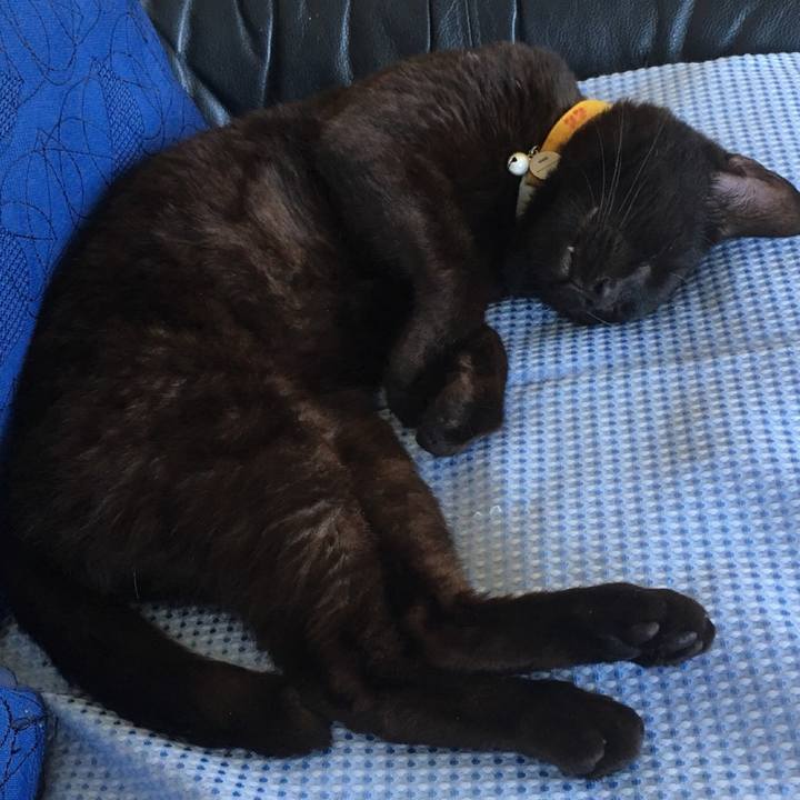 Dc76ebf2 9e17 47b0 9c53 04f9b021f5f3 1581163184448