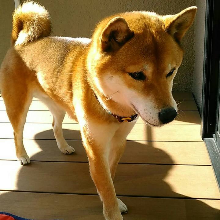 Dc77035d d750 4470 9804 02f58333ddd6 1550313295815