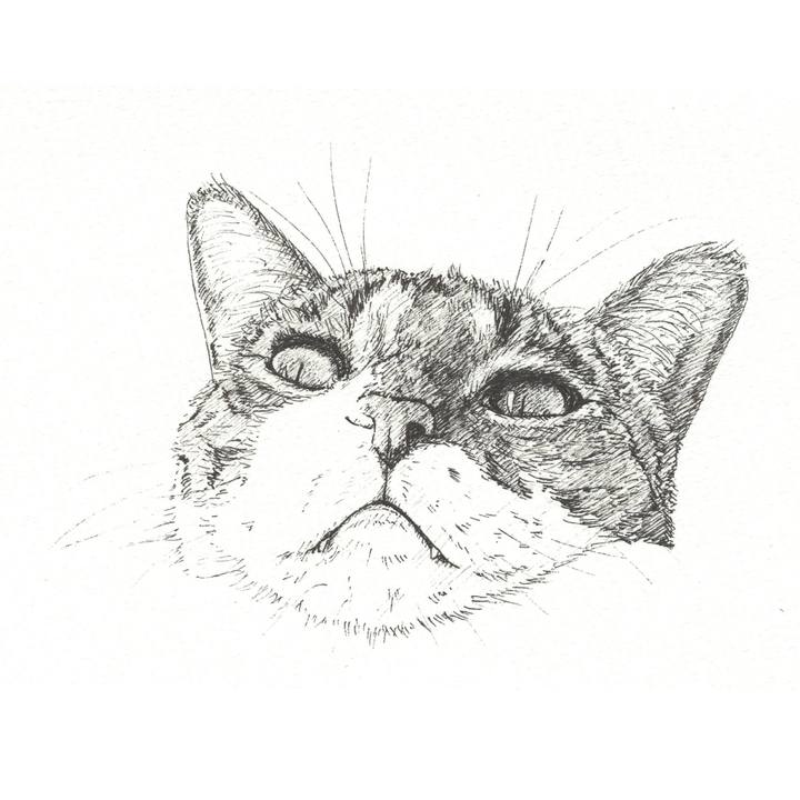 Dc776383 1855 4a29 9db1 5b4cdf3cfa3d 1566054107937