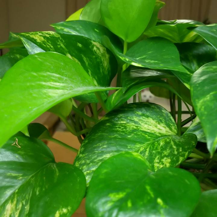 Dc77d5db a4fc 4388 97fd 6ad52d3cd6e6 1542633653575