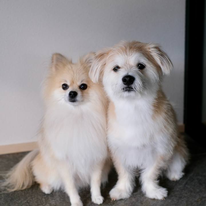 Dc77e31c 7c73 4603 a24b f0370019ea62 1758837293490