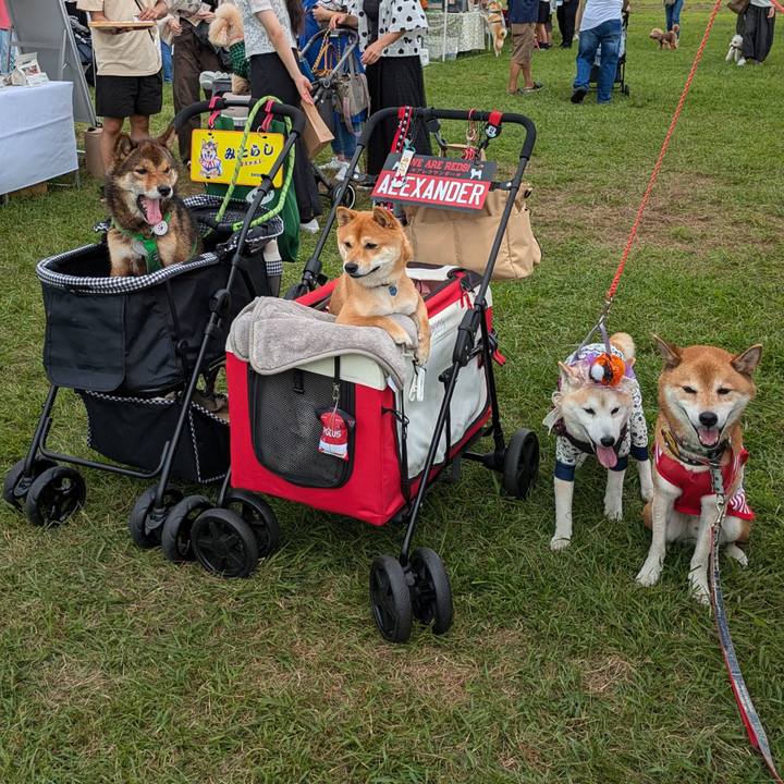 Dc77f91b 3267 4c7c 94fa 78d3e6a442c9 1726995221440