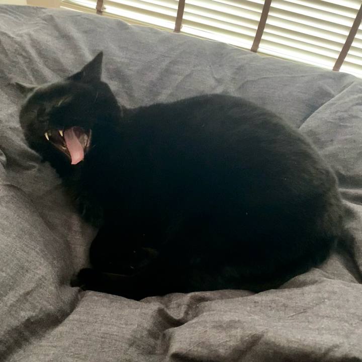 Dc780001 fa5a 4d26 8921 b818a1531ad6 1770427446325