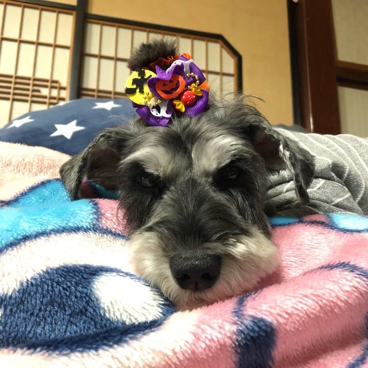 Dc78172e 568f 4d0f a664 aee2c9735b29 1666694939283