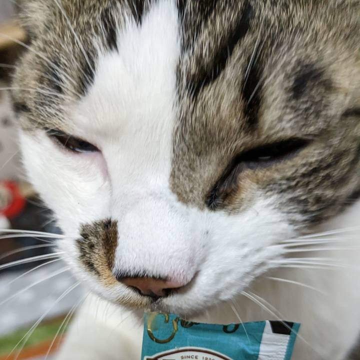 Dc781aa0 85b7 4b24 aa67 0532a4c57276 1679229988389