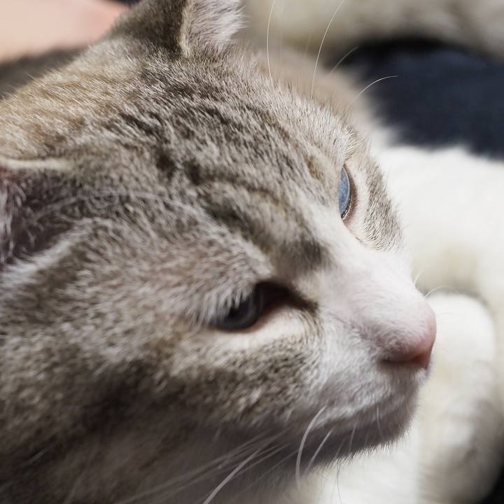 Dc78258c 48ab 45f8 993f 99e111e3bcc1 1605954001405