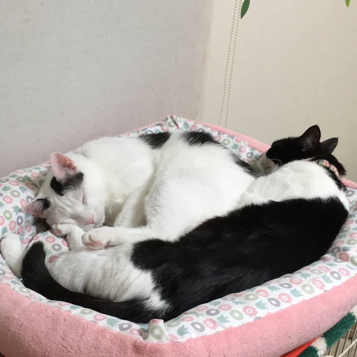 Dc782e99 f28d 4df3 a7c6 79eecb4c10d1 1520685304014