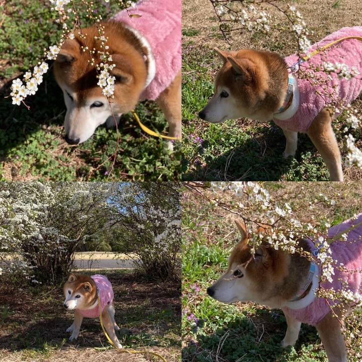 Dc787770 4a30 4885 9a4b 4d1202032457 1773538077678