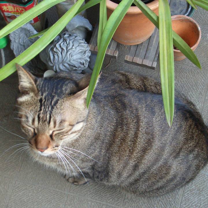 Dc789002 80bb 434e b88d 2f12ac075f17 1584485053957