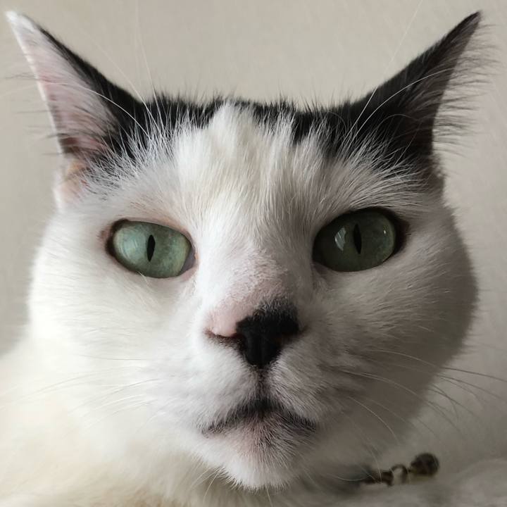 Dc7891aa 4489 4069 a351 f3ee2b55fbe4 1541808821351