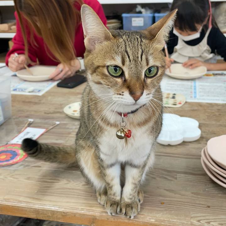 Dc789f73 4baa 4385 9329 523f1eeb1e1b 1697794513596