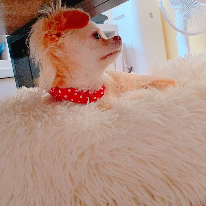 Dc78d2e1 59c2 41ed 993c 4907ef689864 1628283519734