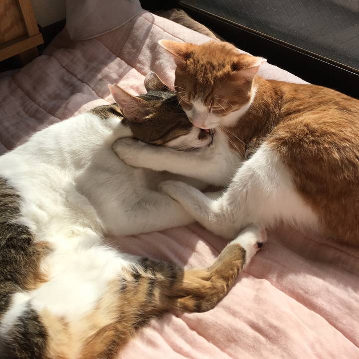 Dc78d4a8 1d1c 4f42 b570 38f9ab9a88e2 1510297859604