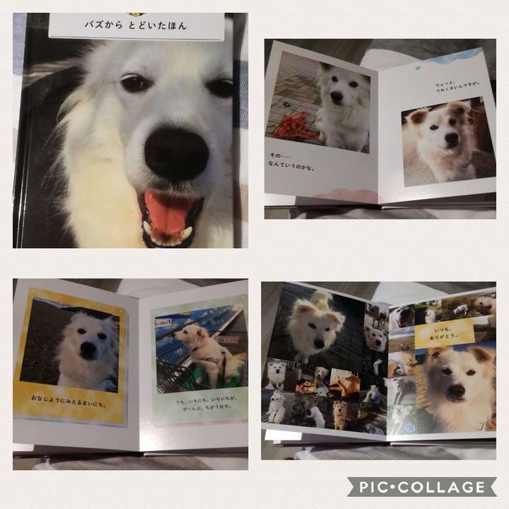 Dc78ff42 8e22 4b7d a81f 21256bbb60ee 1531132074312