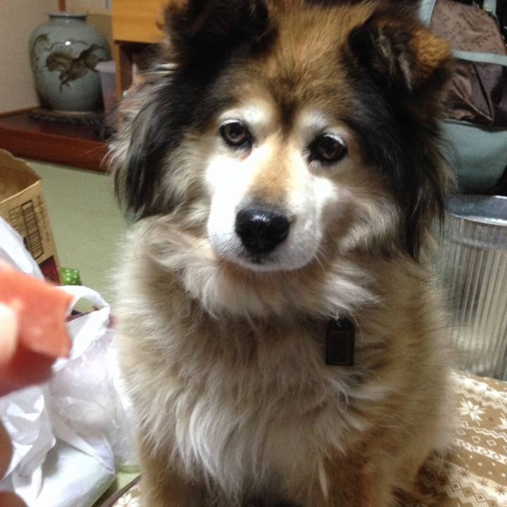 Dc79288e 31df 484f ac06 6c2188e4eff5 1656056776998