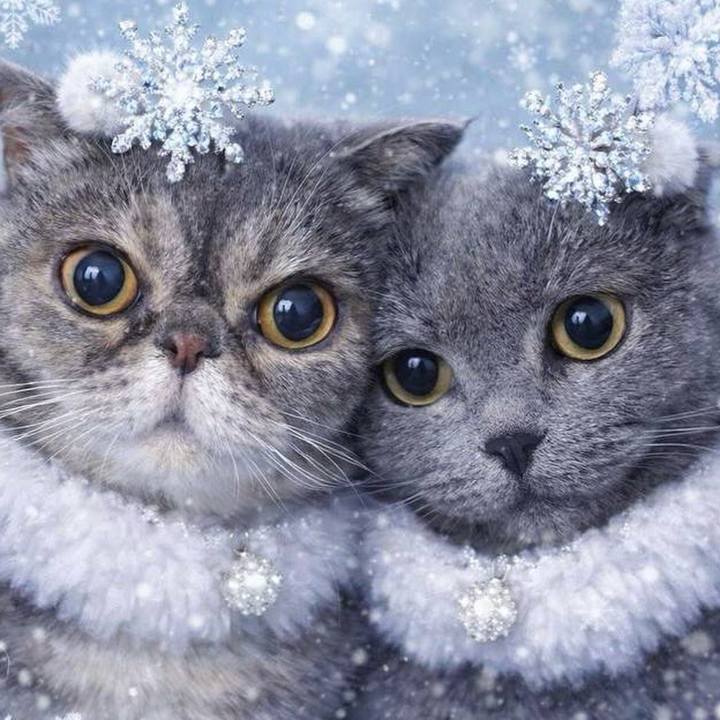 Dc795511 796d 4525 bb76 6f51103f4068 1768376285214