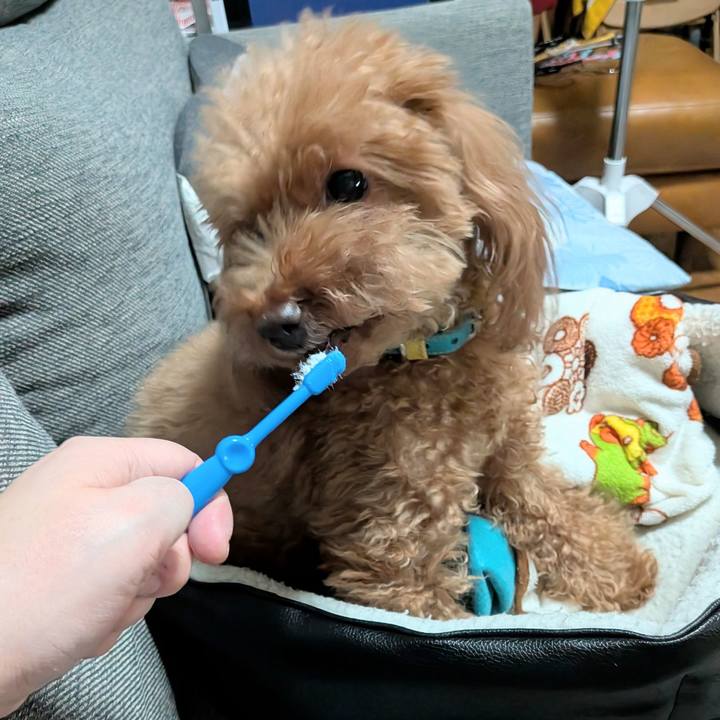 Dc795c01 b3db 4207 83a9 35b21dc818e8 1765797120368