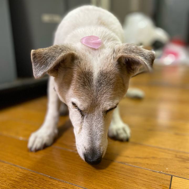 Dc798233 96d0 4457 a152 45dc311bdaf9 1733433826015