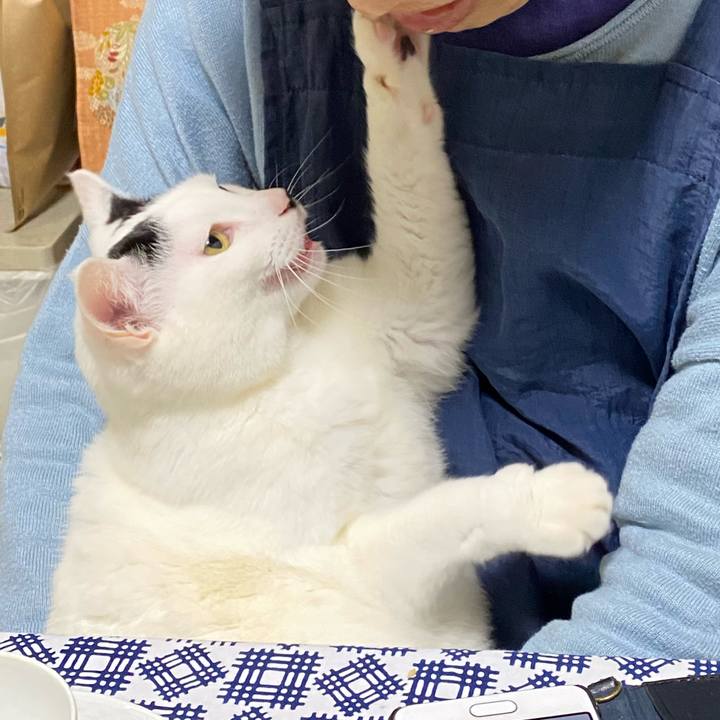 Dc798dbe 3bfe 4bc3 92f4 98c3762a14c5 1583567409990