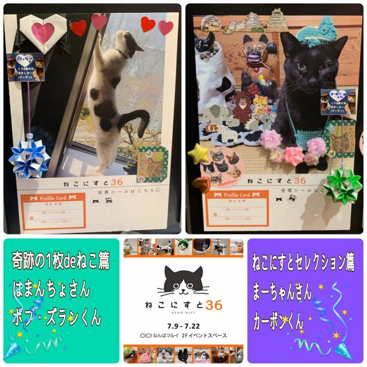 Dc799fa0 95bd 445d 8b8b 26b554be0cef 1625815216428